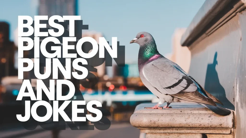 Best Pigeon Puns and Jokes